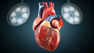 Heart Surgeon's Insights: Sugar's Impact on Heart Health