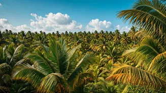 Exploring Kerala and Beyond: A Festive Indian Journey