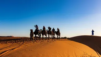 Rajasthan adventures you can't miss