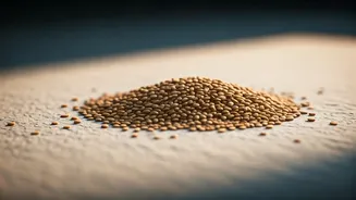 Unlocking Joint Health: 5 Remarkable Benefits of Tiny Sesame Seeds