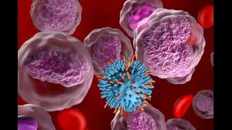 World Cancer Day 2026: 5 Routine Health Tests That Help Detect Cancer Early