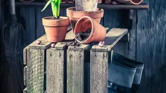 Rain-Soaked Soil Can Make Pots Heavier than Usual
