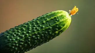 Kashmera Shah's Ageless Glow: Inside the 53-Year-Old's Natural Beauty Secrets