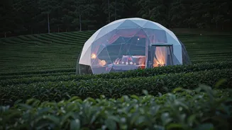 Escape To Tea Garden Eco Domes For Pure Romance