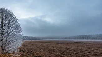 Delhi's Deep Freeze: Fog, Cold Wave Grip North India