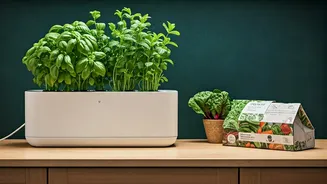 Kitchen Gardening Is Finally Looking Cute And Easy