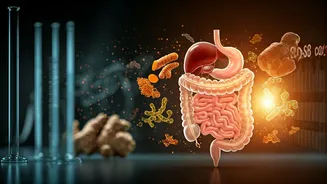 Gut health goes mainstream in India