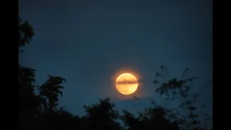 Guru Purnima On Wednesday July 29: Timing And Details For Full Buck Moon