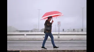 Clima: país tem frio, calor e chuvas nesta 2ª, início de junho; confira