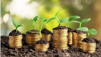 Everything to know about green loans in India