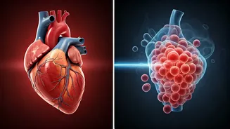 Chest Pain Confusion: Gas Discomfort vs. Critical Heart Issues Explained