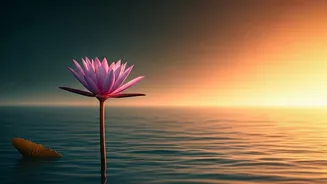 Bastar's Transformation: From Maoist Hub to Tourism Hotspot with Rs 100 Crore Boost!