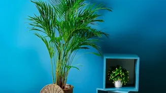 Smart Ways To Incorporate Natural Woven Baskets Into Modern Minimalist Home Interiors