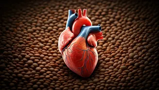 Super Lentils: UK Surgeon Reveals Heart Health, Anti-Cancer Powerhouse