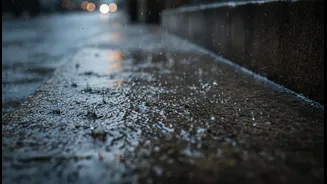 Mumbai Commuters, Renters and Urban Planners Should Watch Mumbai's July Rain Data More Closely