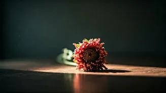 Membongkar 'End Year Blues': Kenapa Kita Lesu Akhir Tahun?