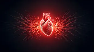 Heart Health Alert: Stopping GLP-1 Drugs Like Ozempic Risks Cardiovascular Events