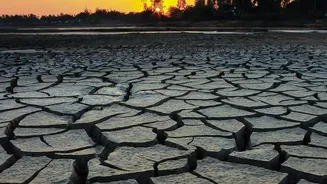 How El Niño Connects To India's Weather And Agriculture