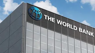 World Bank in talks with 30-40 countries for crisis aid