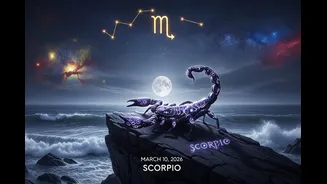 Related Stories banner