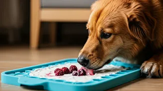 The Ultimate Calm Routine Involves Texturized Freezing Licking Mats