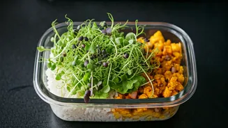 Health Conscious Indian Grads Turn Meal Prep Aesthetic Using Microgreens