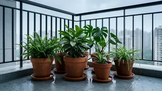 Too Much Rain Can Stress Plants—What to Do With Your Balcony Garden