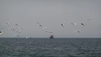 Strait of Hormuz closed or open? Why it may not matter much to the US