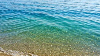 Naples' Coastal Charms: Unveiling the Best Beaches