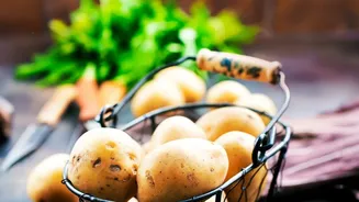 Potato Variety Matters Less Than Technique In Many Everyday Recipes, As The Ingredient Is Familiar And Visual