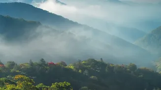 Exploring Quiet Green Havens In Tirthan Valley For A Peaceful Autumn Holiday