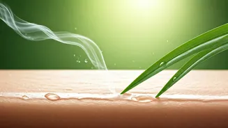 Sweat And Pollution Demand Better Skin Hygiene