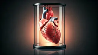 Heart Health: Walking vs. Home Gyms - What Works Best?