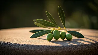 Eudaimonia: Unlocking True Flourishing and a Life of Deep Fulfillment