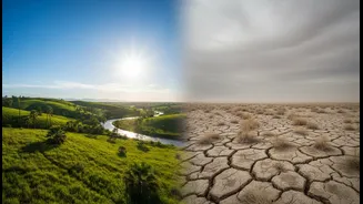How El Niño And La Niña Influence Heat And Rain