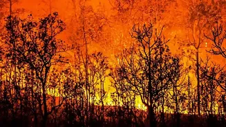 How Farm Residue Fires Can Change Regional Pollution Patterns
