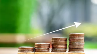 India's Startup IPO Trend: What It Means For Retail Investors