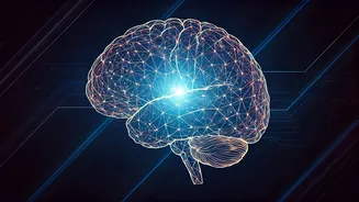 Why Everyone Is Learning AI