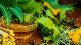 How Overworked Millennials Can Benefit From Authentic Kerala Ayurvedic Healing Packages This Monsoon