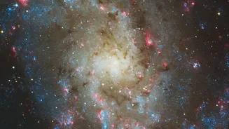 The Role of Hubble Clues to Galaxy Evolution in Hubble's Andromeda Star-Formation Study
