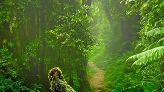 How To Find Best Rainforest Photography Spots On Driving Trips From Bangalore To Agumbe