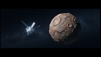 How Hayabusa2's Torifune Asteroid Flyby Can Connect Precision Navigation with Asteroid Science