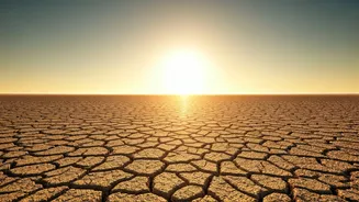 Delhi Scorches: Unrelenting Heatwave Peaks at 44°C, Little Relief in Sight This Week