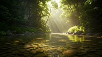 India's Hidden Gems: 10 Remarkable Short Rivers You Need to Know