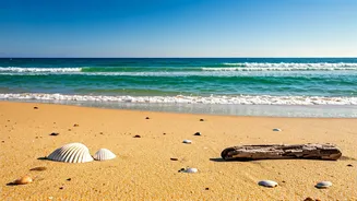 Discover North Carolina's Crystal Coast: Your Ultimate Guide to a Charming Coastal Escape