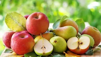 Apple v/s pear: Which is more hydrating?