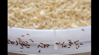 Try These 5 Rice Variants That Are Healthier, Better Than White Rice For Diabetics