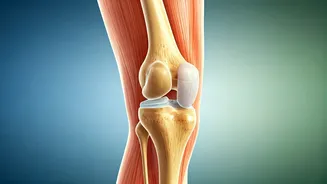 Knee Osteoarthritis Relief: Aerobic Exercise Outshines Other Methods, Study Confirms