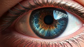 Diabetes and Your Eyes: Unveiling Risks, Spotting Signs, and Safeguarding Sight