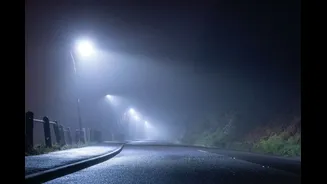 IMD Cautions Karnataka As Cold Wave Strengthens, Bengaluru In Line For Chill